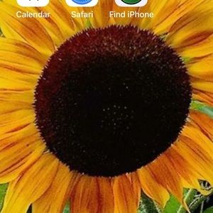 Meet your Posher, Karin